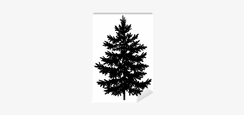 Christmas Spruce Fir Tree Silhouette Wall Mural • Pixers® - Fir Tree Silhouette, transparent png #1087754