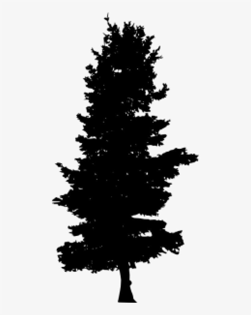 Free Png Pine Tree Silhouette Png Images Transparent - Evergreen Tree Silhouette Png, transparent png #1087809