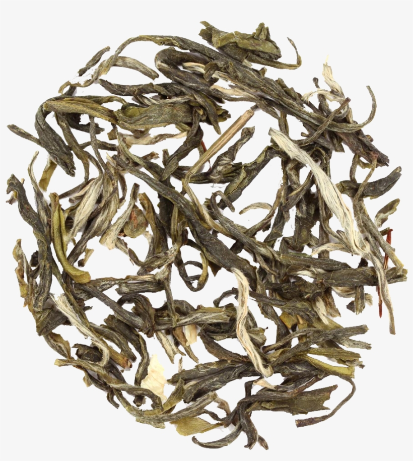 Easter Lily White - Adagio Teas Jasmine Yin Hao Loose Green Tea 16 Oz, transparent png #1087915