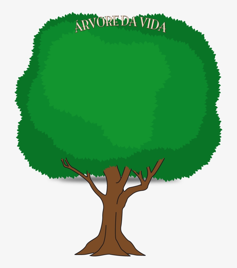 Bg-arvore - Imagens De Arvore Png, transparent png #1087939