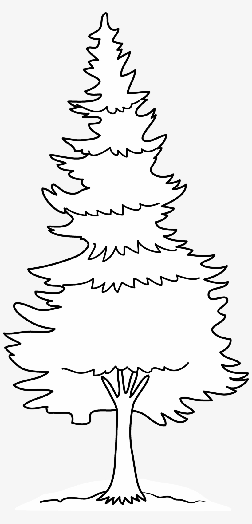 Pin Pine Tree Silhouette Clip Art - Pine Tree Clip Art Outline, transparent png #1087940
