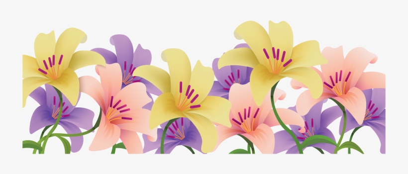Lilies Add Long-lasting Color And Fragrance To Flower - Easter, transparent png #1087966