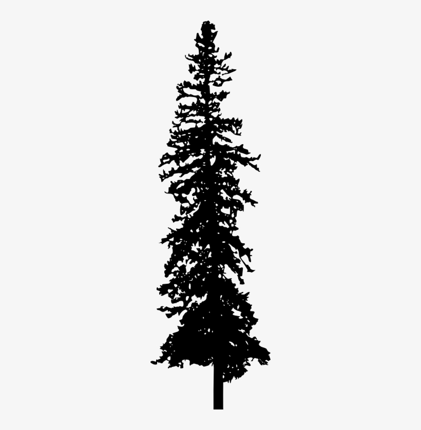 Pine Tree Silhouette Png Download - Portable Network Graphics, transparent png #1087993