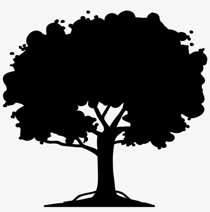 Árvore - Soil Infographic, transparent png #1088073