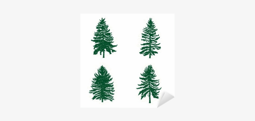 Set Of Different Silhouettes Of Green Pine Trees, Vector - Woods Fir ...