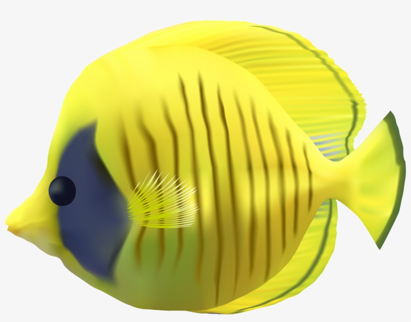 Clipart Fish Transparent Background - Transparent Background Fish Png, transparent png #1088274