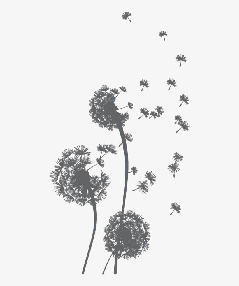 Freetoedit Dandelions Dandelionseeds Png Transparentbac - Unextati Galaxy Core Prime Case, Pu Leather Case With, transparent png #1088298