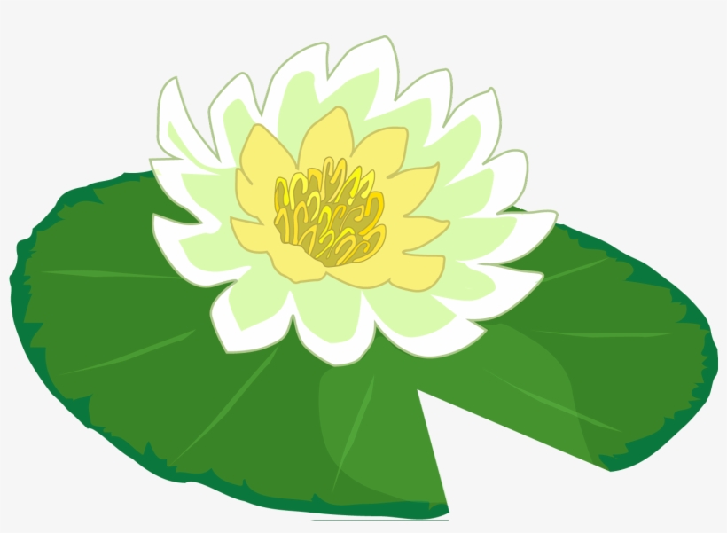 White Flower Water Lily Clipart The Cliparts Png - Lily Pad Png, transparent png #1088345