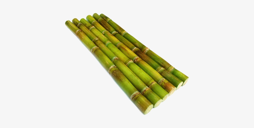 File - Reeds - Sugar Cane Png Hd, transparent png #1088533
