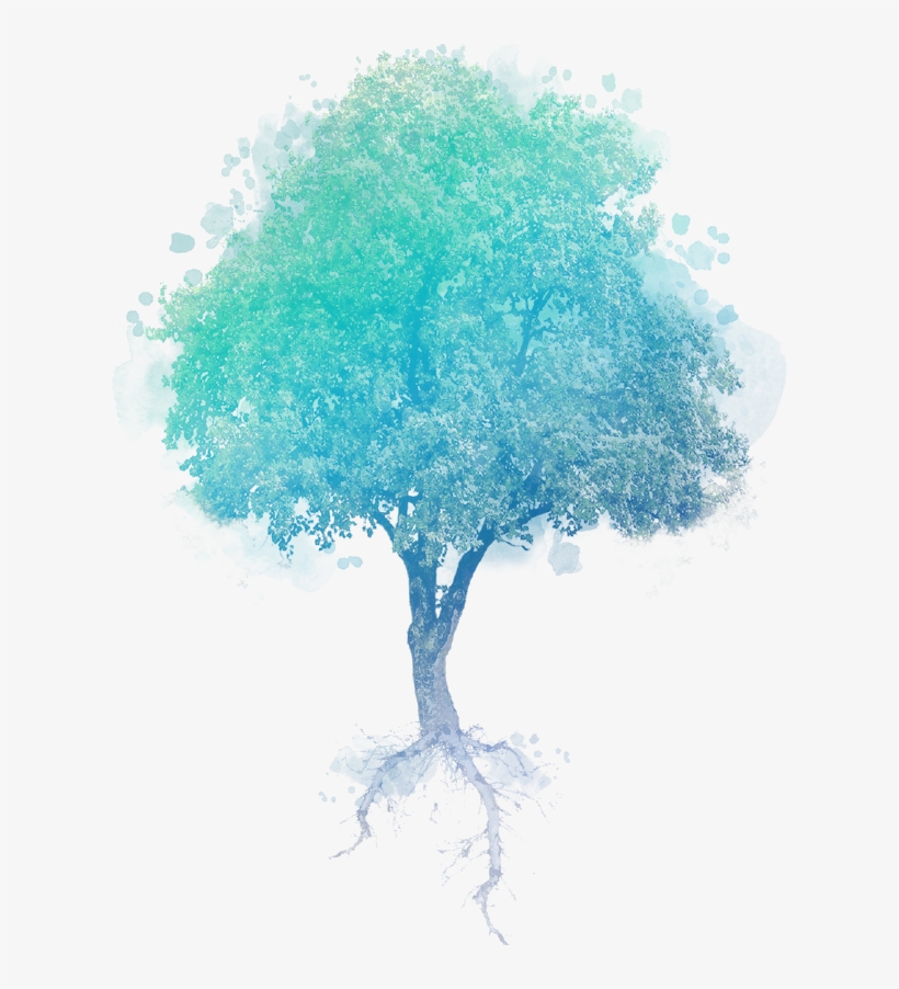 Árvore - Sustainability, transparent png #1088773