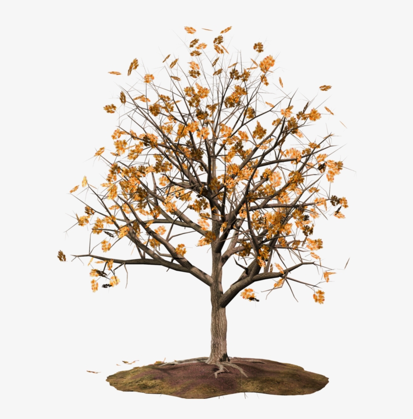 Curtido Curtir Compartilhar - Desenho De Uma Arvore Florida, transparent png #1088873