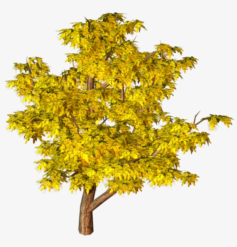 Clip-art Yellow Tree Png Image - Aerial View Trees Images For Renderings, transparent png #1088893