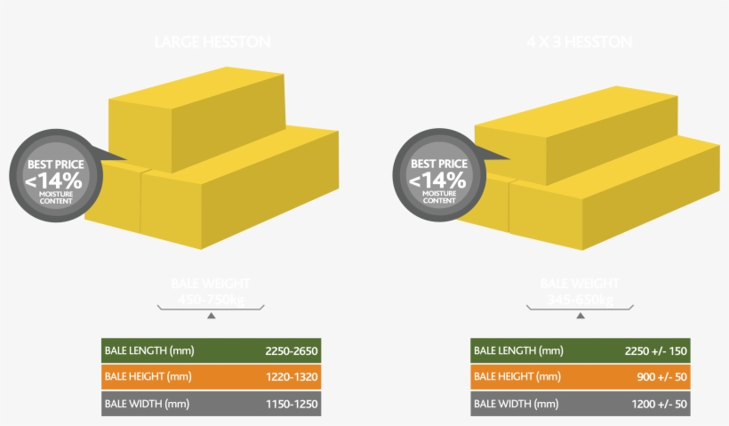 Baling Specifications - Podium, transparent png #1089030