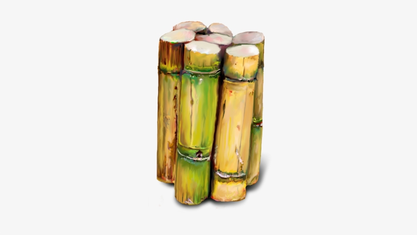 Bunch Of Sugar Canes - Sugarcane Hd Png, transparent png #1089356