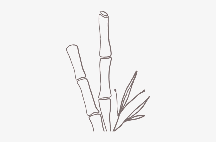 Cane Sugar - Caña De Azucar Png, transparent png #1089513
