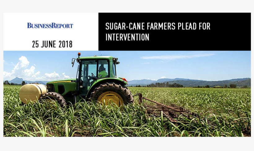 Sugar-cane Farmers Plead For Intervention - Trade, transparent png #1089561