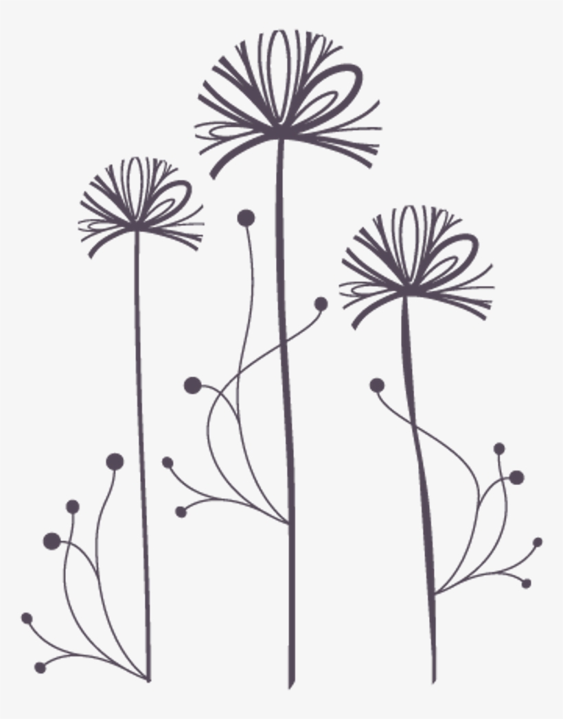 Freetoedit Dandelions Dandelionseeds Png Transparentbac - Metal Monkey Stickers Flower Heads Glass Etch Or Stained, transparent png #1089604