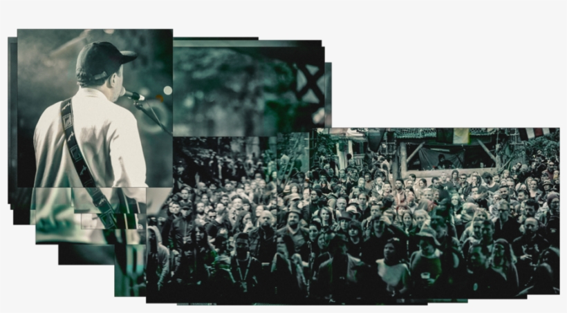 David Kitt Salty Dog Electric Picnic 2016 1 - Electric Picnic 2016, transparent png #1089812