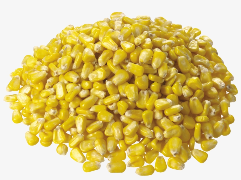 Audi Transparent Png Sticker, transparent png #1090105