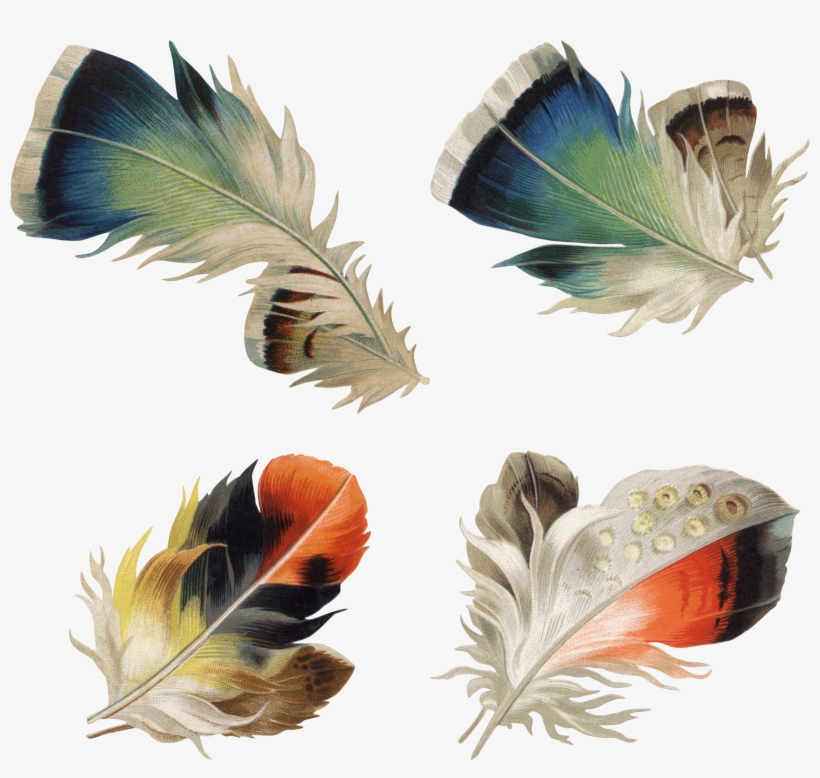 0 8b821 E15a5edc Orig Tissue Paper, Feathers, Feather - 3drose Llc 8 X 8 X 0.25 Inches Mouse Pad Victorian, transparent png #1090596