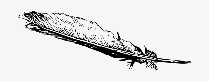 Feather Bird Feather Plume Plumage Eagle F - Transparent Feather Clip Art, transparent png #1090701