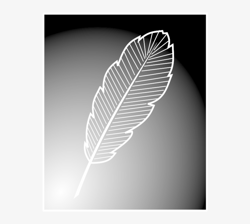 Featherpeacock Feather Silhouette Png - Siluet Bulu, transparent png #1090730
