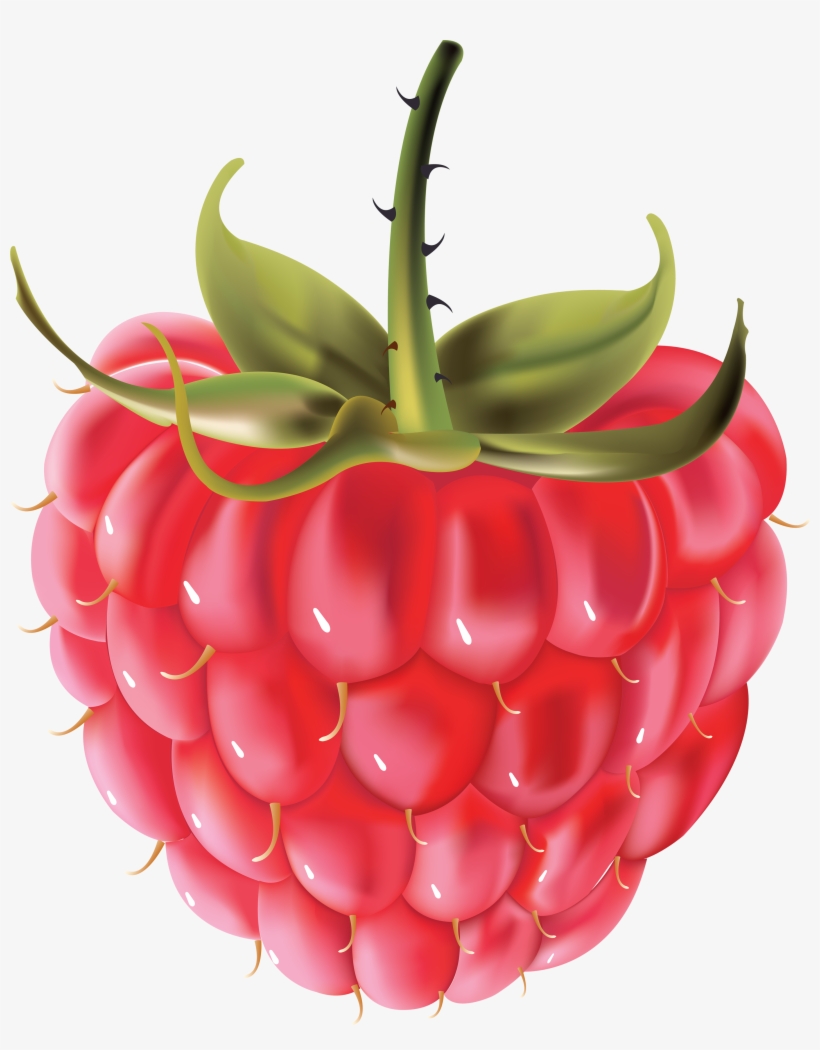 Rraspberry Png Image, transparent png #1091109