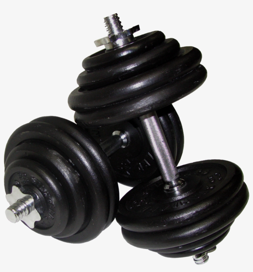 Dumbbells Png Clipart - Dumbbell Transparent Png, transparent png #1091162