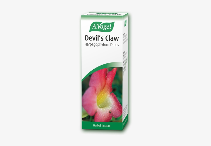 Vogel Devil's Claw Tincture - Vogel Hypericum, transparent png #1091278