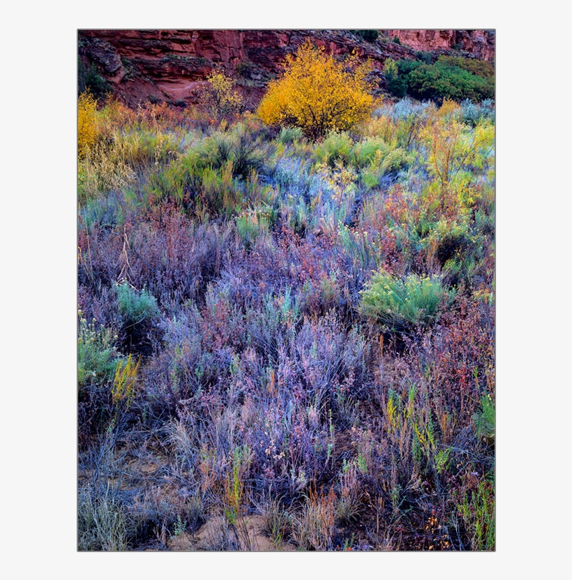 Desert Palate - Palate - Free Transparent PNG Download - PNGkey