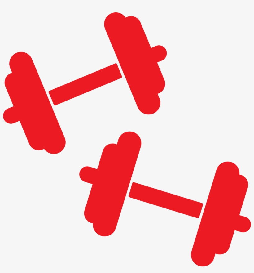 The Sky Family Ymca, Fort Myers, Englewood, Cape Coral - Ymca Weights, transparent png #1091838