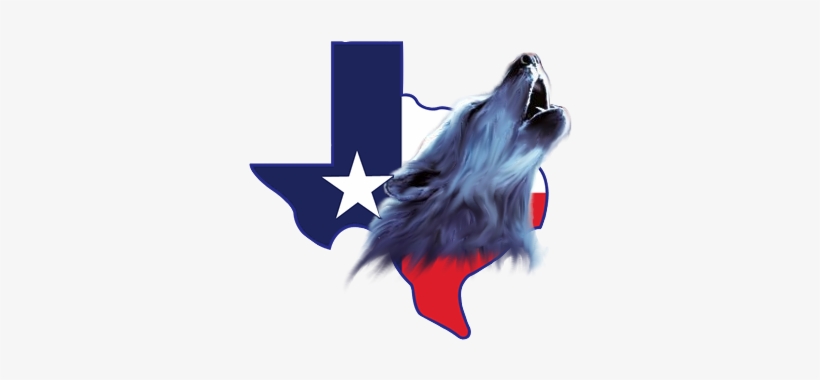 Texas Speed Cam Logo, transparent png #1092366