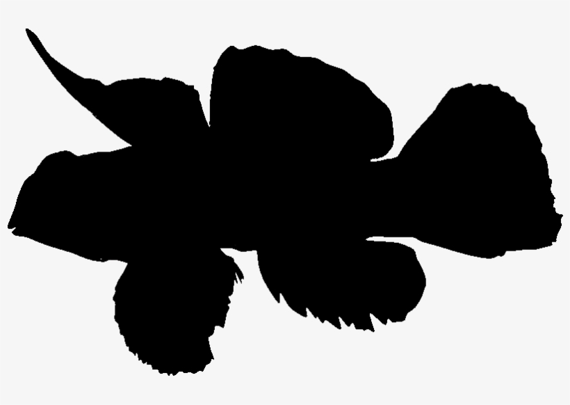 Show Pig Silhouette - Silhouette, transparent png #1092420