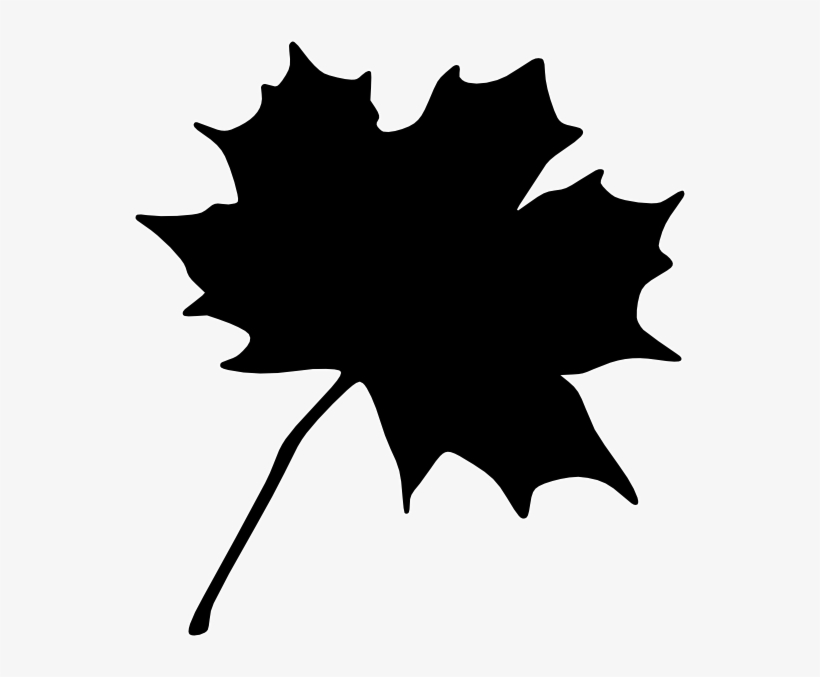Maple Leaf Clip Art, transparent png #1092474
