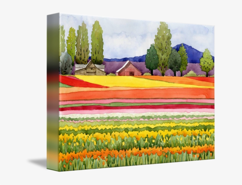 Tulip Fields By Kathy Johnson - Gallery-wrapped Canvas Art Print 15 X 11 Entitled Tulip, transparent png #1092717