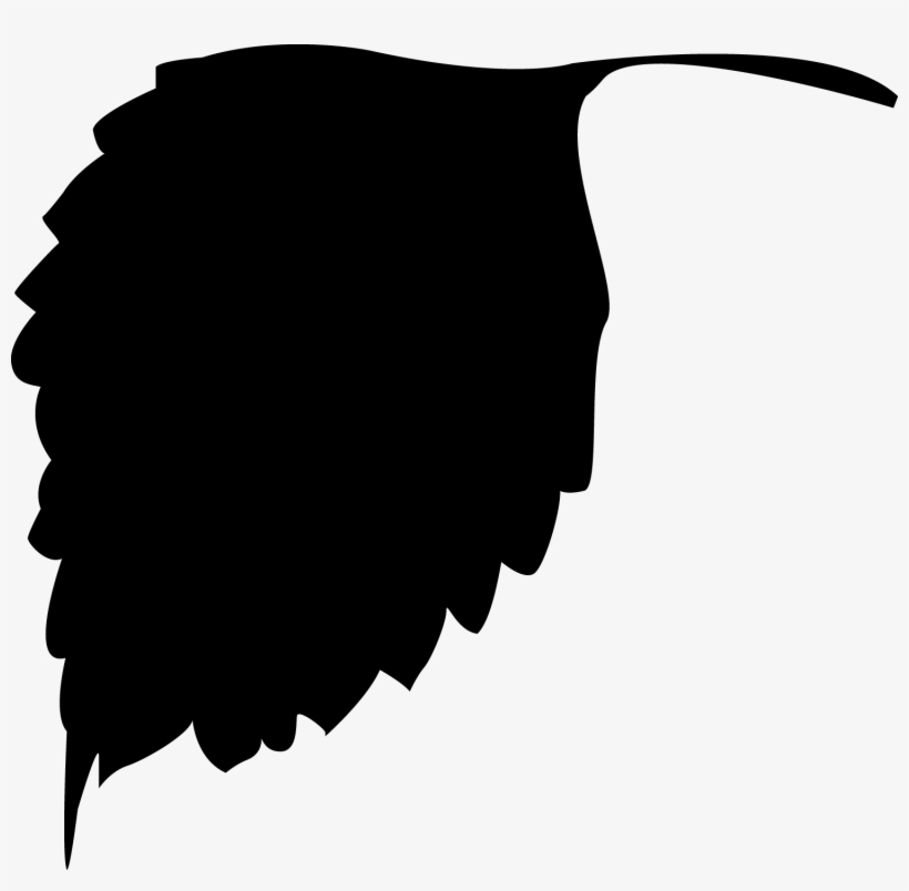 Leaf Silhouettes Free Vector Graphics Free Vector 4vector - Leaf Silhouette Vector Png, transparent png #1092806