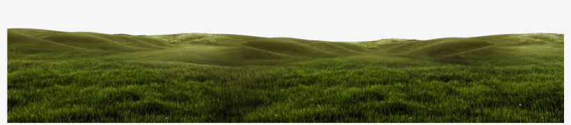 Two Very Refreshing Guys, transparent png #1092942