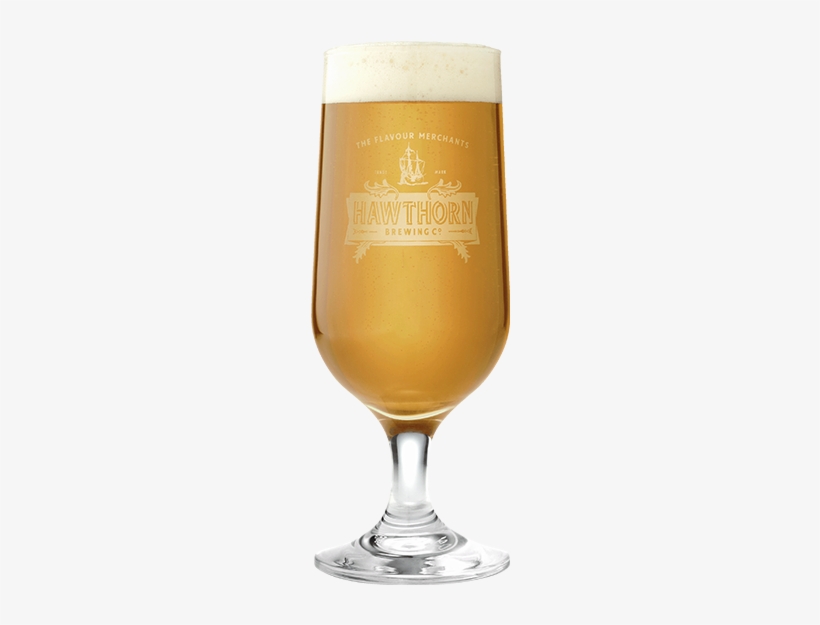 Hawthorn Beer Glass - Beer Glass, transparent png #1093831