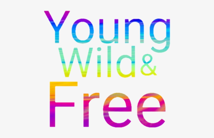 Young Wild Free Clipart With Transparent Background - Transparent Background Word, transparent png #1094755