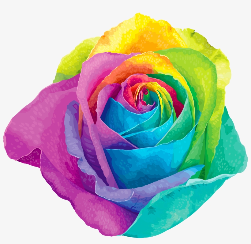 Multicolored Rainbow Rose Transparent Png Clip Art - Rainbow Flower Png, transparent png #1094968
