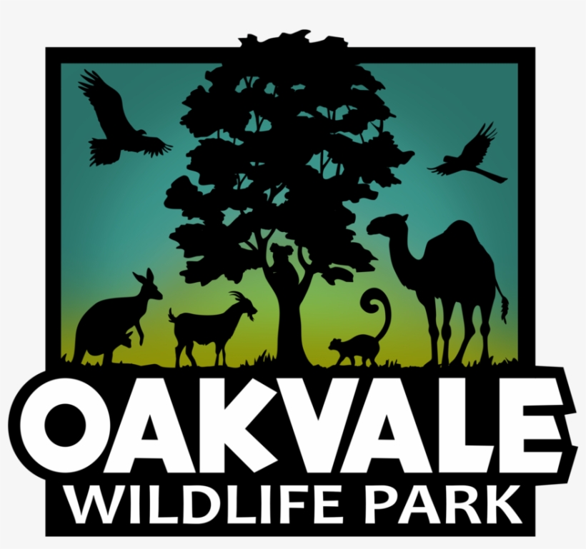 Oakvale Wildlife Park - Oakvale Farm, transparent png #1095211