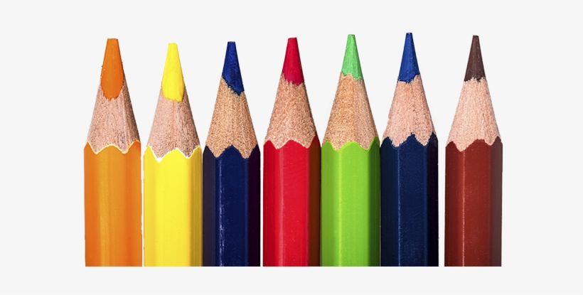 What I Saw As I Camped Out In The School Supply Section - Collection, transparent png #1095753