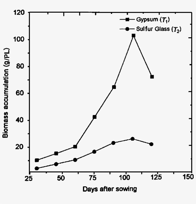 Effect Of Sulfur Glass Fritz And Gypsum Application - Cardiac Arrest, transparent png #1097080
