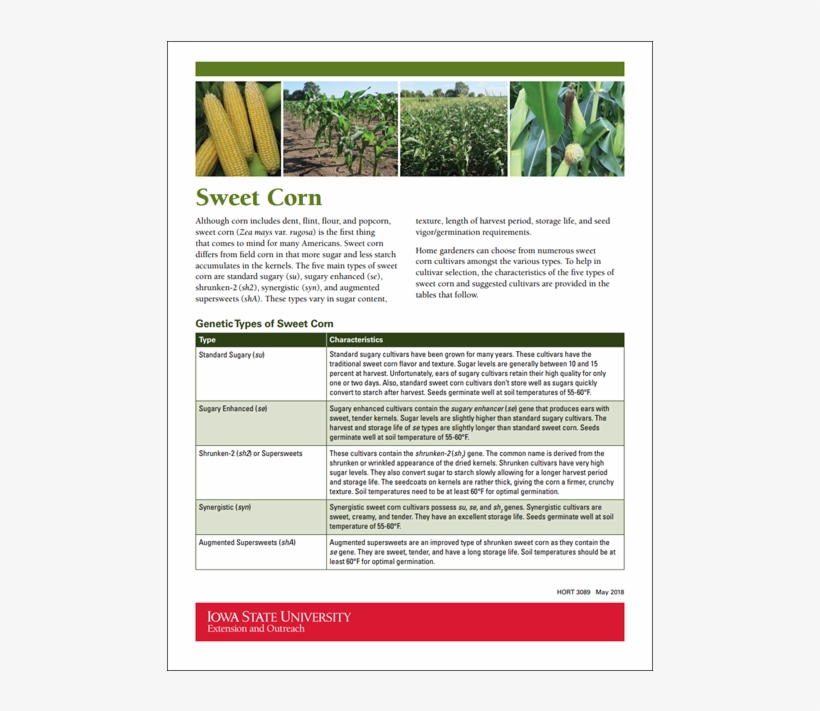 1 Alt - Brochure, transparent png #1097403