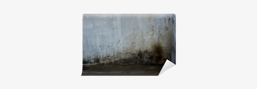 Plank, transparent png #1097606