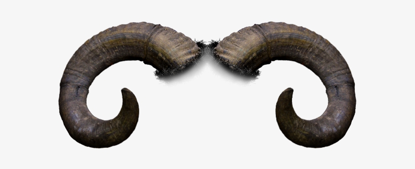 Sign Up To Our E-list - Beauty And The Beast Horns, transparent png #110230