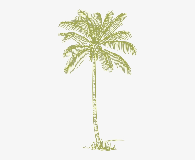 Green Palm Tree Silhouette Png, transparent png #110658
