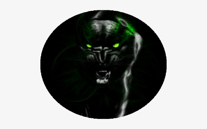 Erebus The Black Panther - Panthers Angry - Free Transparent PNG Download -  PNGkey