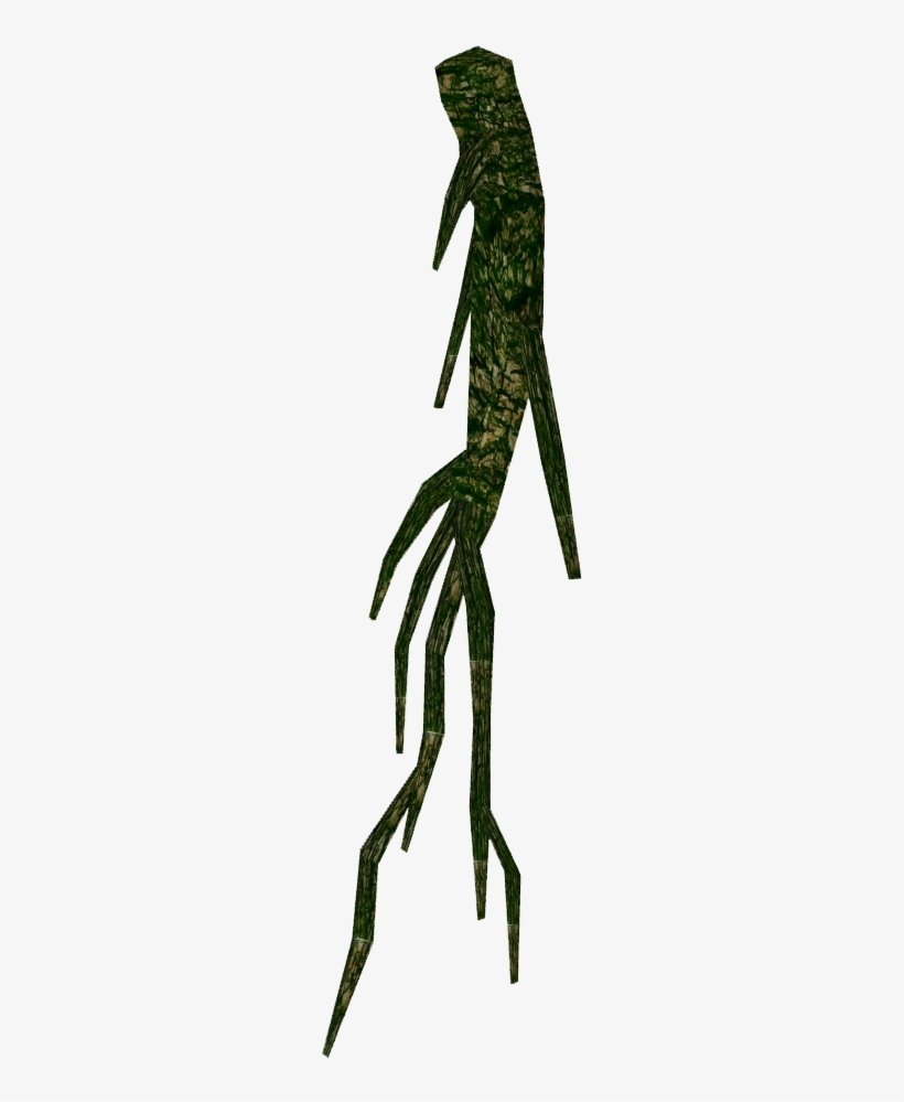 Hanging Roots 2 - Hanging Roots Png, transparent png #111088
