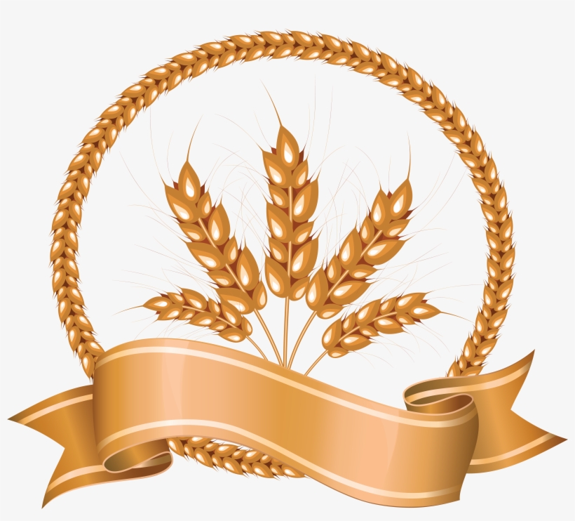 Wheat, transparent png #111160